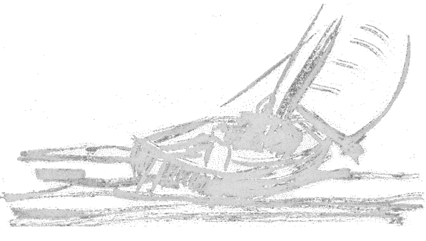 NSlavinski logo